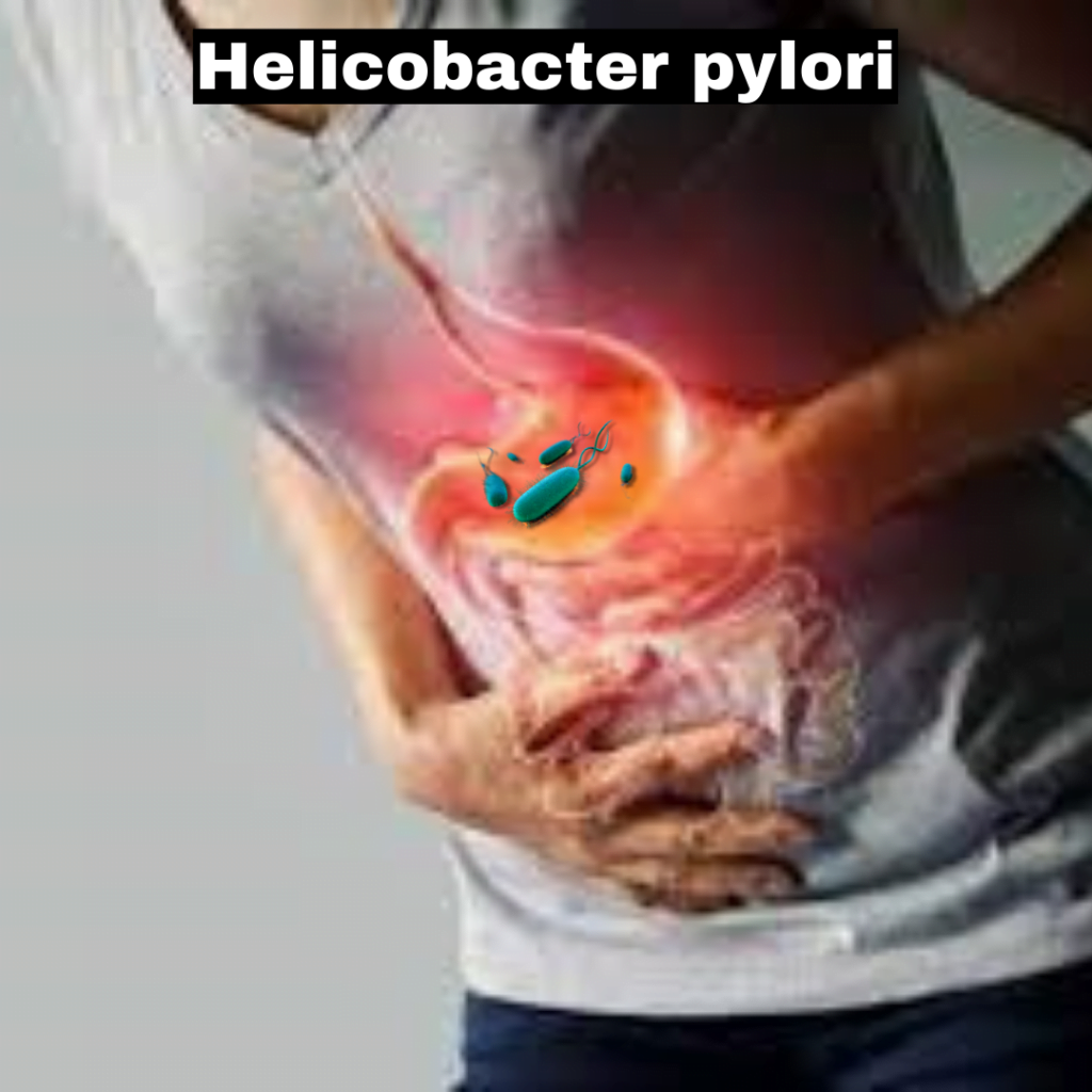 helicobacter pylori fes helicobacter pylori fès helicobacter pylori symptômes helicobacter pylori